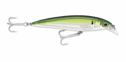 Rapala X-Rap Saltwater 10 Pilchard Jagged Tooth Tackle
