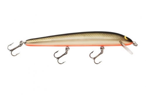 Bagley Bang O Lure 5 Tennessee Shad Orange Belly Jagged Tooth Tackle