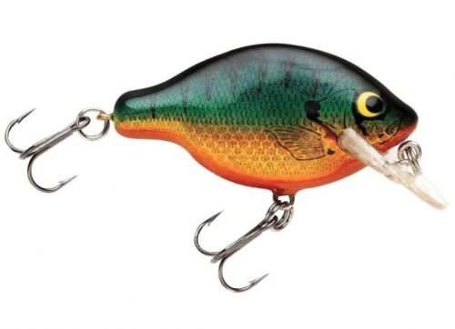Bagley Small Fry 1 Late Spring Bream Jagged Tooth Tackle