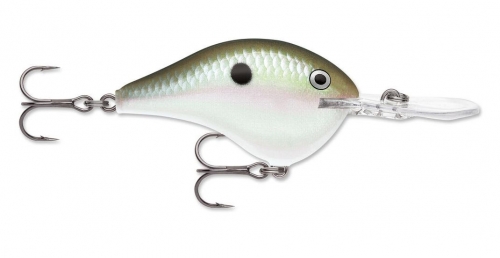 Rapala DT Dives To 10 Green Gizzard Shad Jagged Tooth Tackle