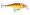 Rapala Shallow Shad Rap 05 - Hot Tiger