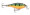 Rapala Shallow Shad Rap 05 - Perch