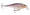 Rapala Shallow Shad Rap 05 - Purpledescent