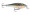 Rapala Shallow Shad Rap 05 - Shad