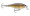 Rapala Shallow Shad Rap 07 - Walleye