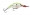 Rapala Jointed Shad Rap 07 - Bleeding Chartreuse S...