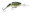 Rapala Jointed Shad Rap 04 - Baby Bass