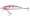 Northland Tackle Rumble Shiner 7 - Purple Tiger