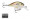 Rapala DT 04 - Custom HD Live River Shad