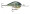 Rapala DT 08 - Custom HD Live Bluegill