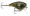 Rapala BX Mid Brat 05 - Mossy