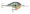 Rapala DT 08 - Bluegill