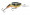 Rapala Jointed Shad Rap 07 - Fire Crawdad