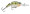 Rapala Jointed Shad Rap 07 - Yellow Perch