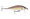 Rapala CountDown Elite 07 - Gilded Wakasagi