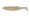 Megabass Magdraft 6" - White Back Shad