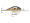 Rapala DT 14 - Shad