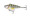 Clam Psycho Shad 1/12 oz - Perch