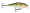 Rapala Scatter Rap Shad 07 - Yellow Perch