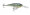 Rapala Shad Rap 07 - Custom HD Live Bluegill