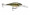 Rapala Shad Rap 07 - Custom HD Live Largemouth Bas...